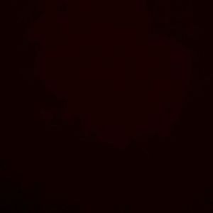 Meet your Posher, Leea